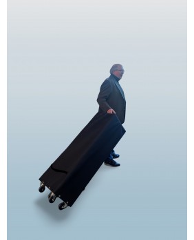 Transportsystem