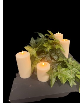 Weinblätter box Natur