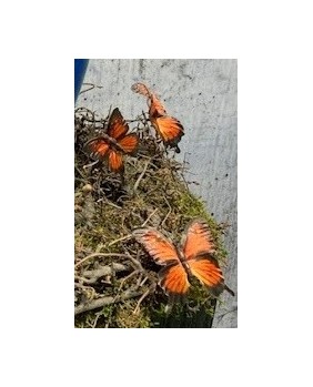 12er Set Deko-Schmetterlinge