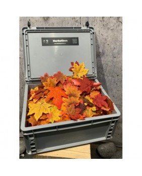Herbst-Box
