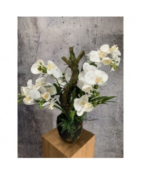 Orchidee weiss 75cm