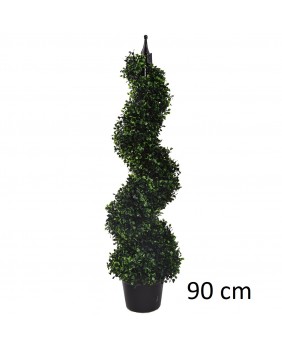 Buxbaum 90 cm